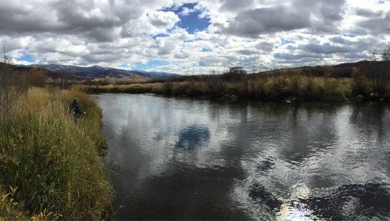 Rotary Park Boardwalk