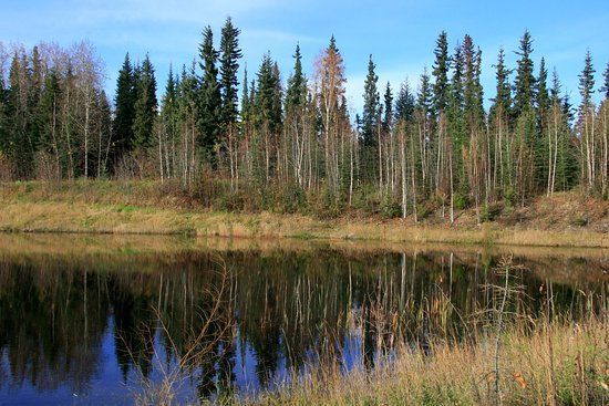 Wedgewood Wildlife Sanctuary