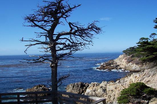 Baie de Monterey
