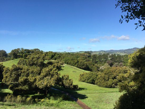 Westwood Hills Parkı