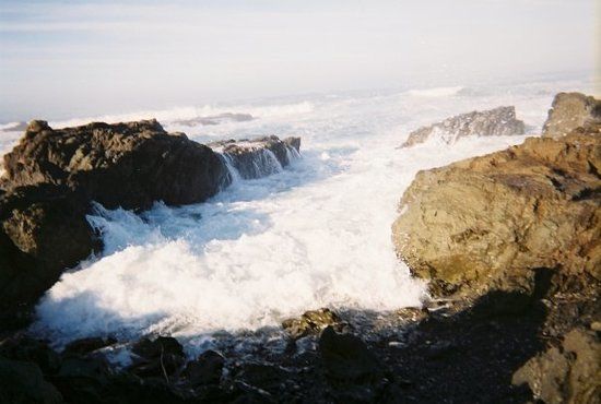 Georgia Pacific Museum