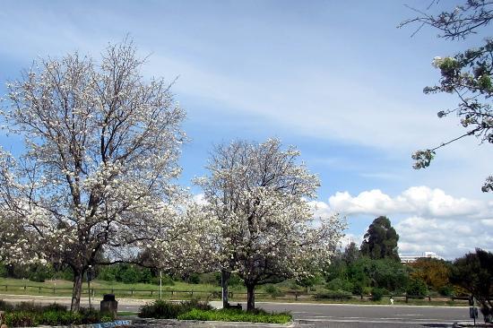 Ulistac Natural Area