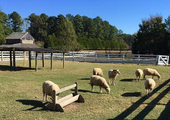Pamplin Historical Park