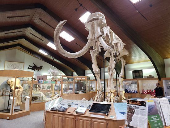 Tate Geological Museum