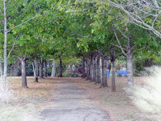 Banita Creek Park North