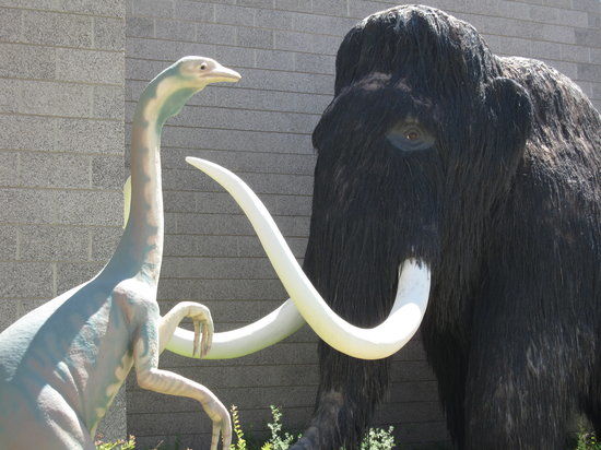 Utah Field House of Natural History State Park Museum