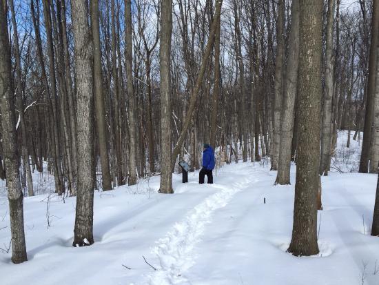 Charles Ransom Preserve