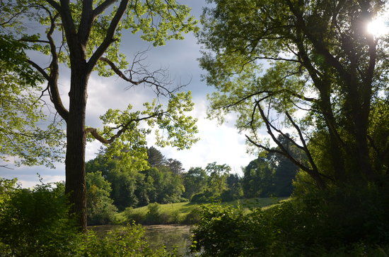 Canoe Meadows Wildlife Sanctuary