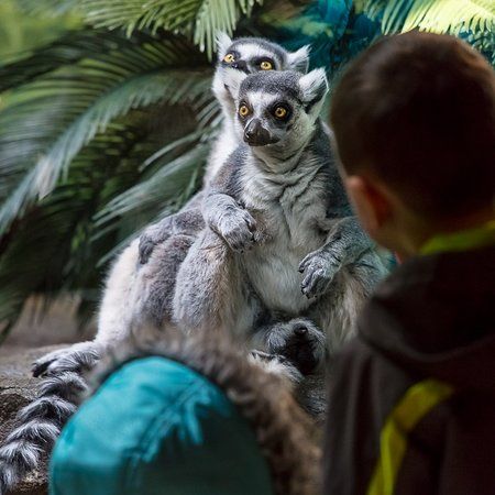 Zoologisch Park Akron