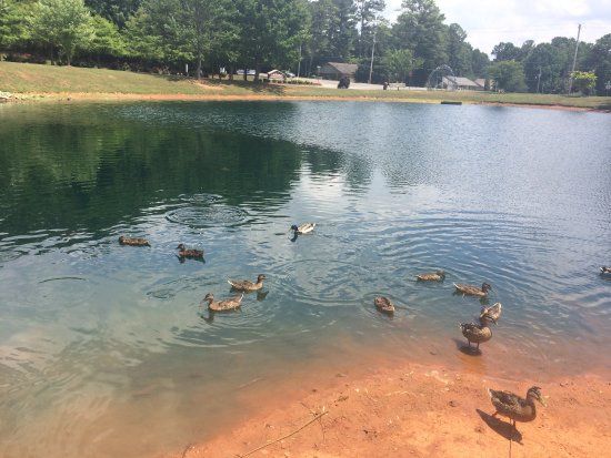 Dublin Memorial Park