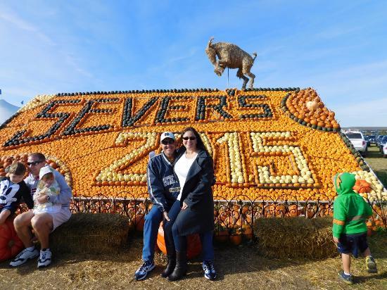 Sever's Corn Maze