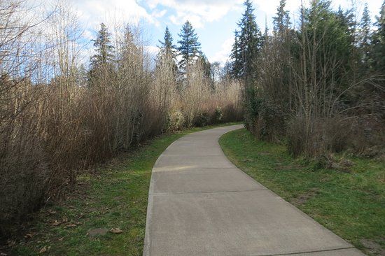 Cook Park