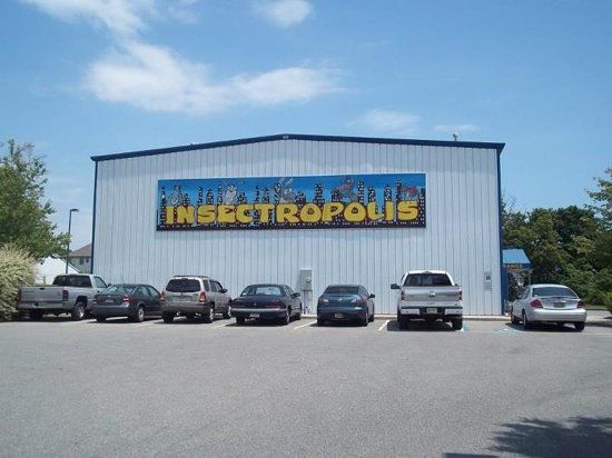 Insectropolis