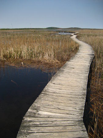 Parker River National Wildlife Refuge