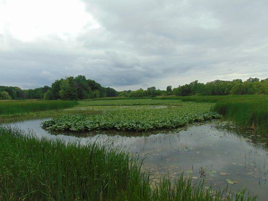 Sheldon Marsh State Nature Preserve