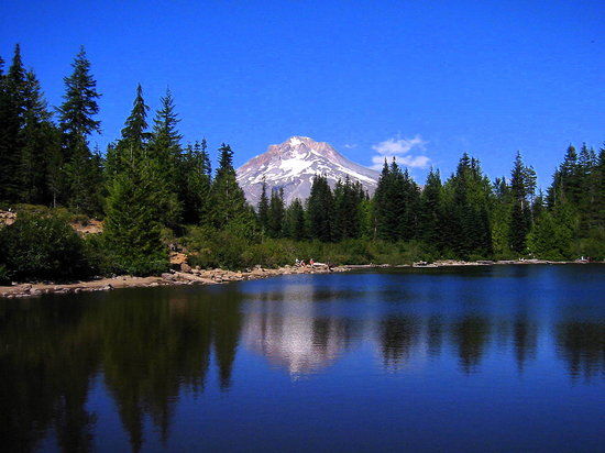 Mount Hood National Forest