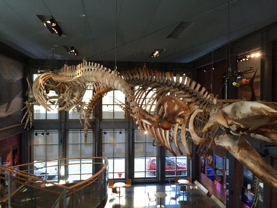 New Bedford Whaling Museum