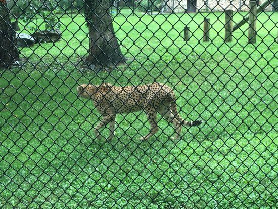 Cape May County Park Zoo