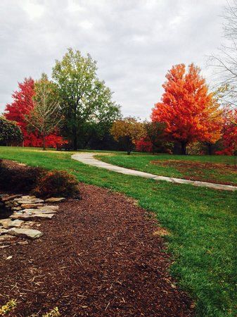 International Forest of Friendship