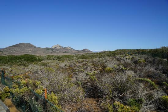 Elfin Forest Preserve