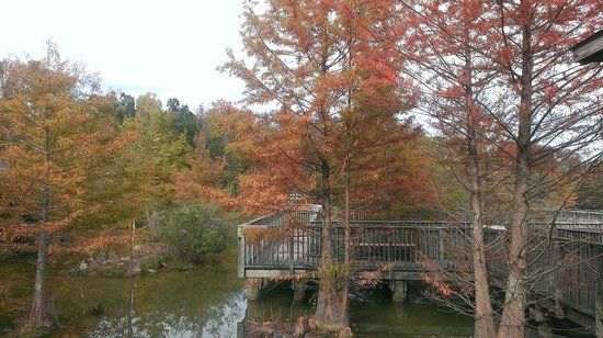Warm Springs Regional Fisheries Center