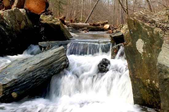 Prince William Forest Park