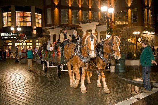 The Center & The Square