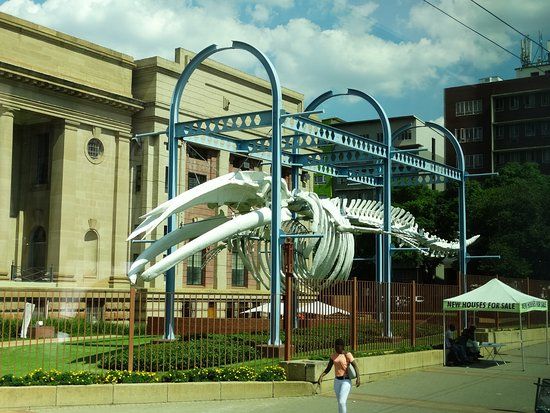 Museum of Natural History