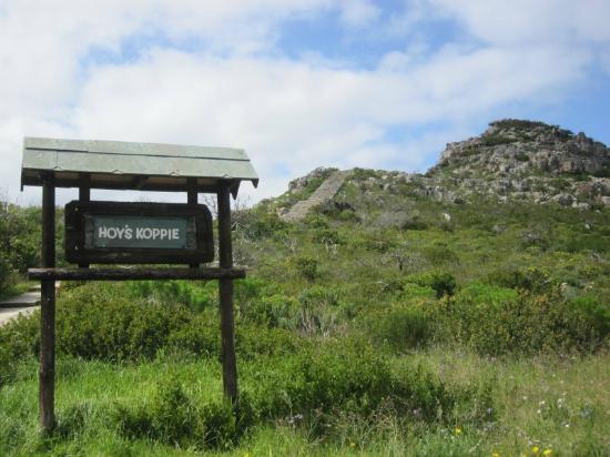 Hoy's Koppie