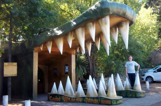 Cango Wildlife Ranch