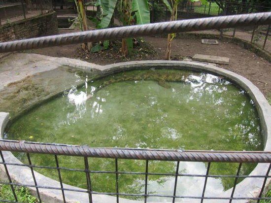 Reptile Park