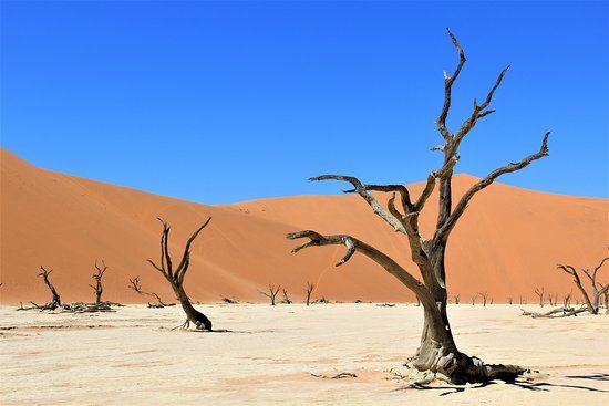 Sossusvlei