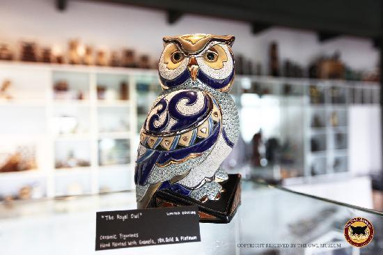 The Owl Museum