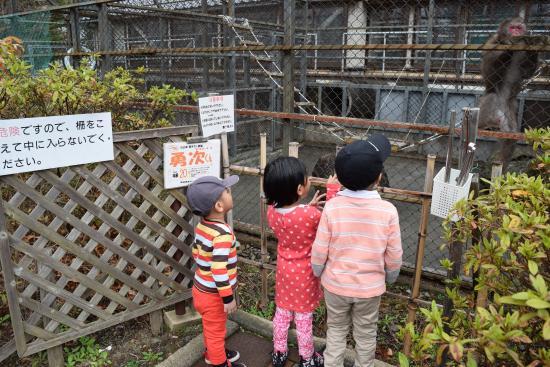 Kawaguchiko Sarumawashi Theater