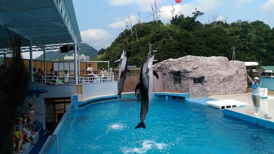 Aquário de Shimoda