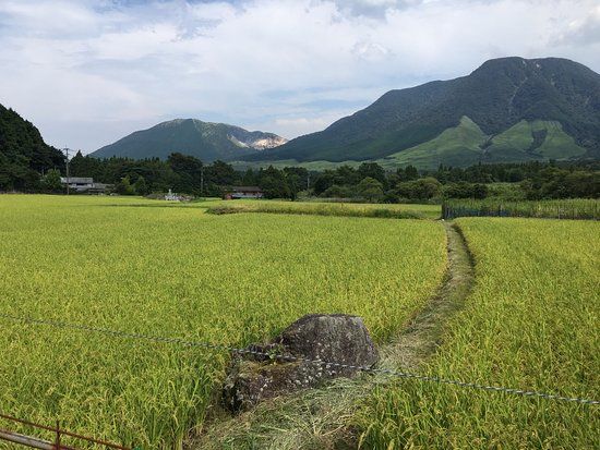 Tsukahara Highland
