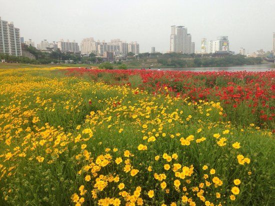 Taehwagang National Garden