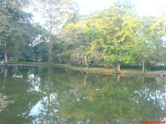 Green Path