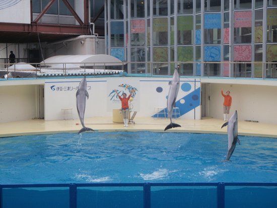 Izu Mito Sea Paradise