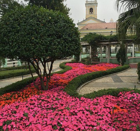 Giardino Carmel