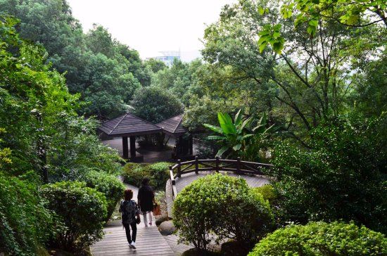 Longquan Mountain of Yuyao