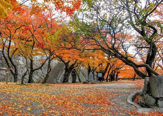 Morioka Castle