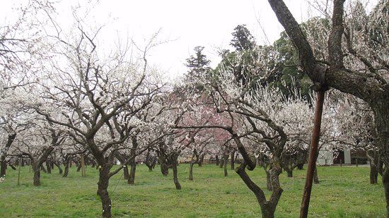 Kairakuen Kihi Monument
