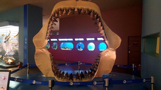 Naturhistorisches Museum von Mokpo