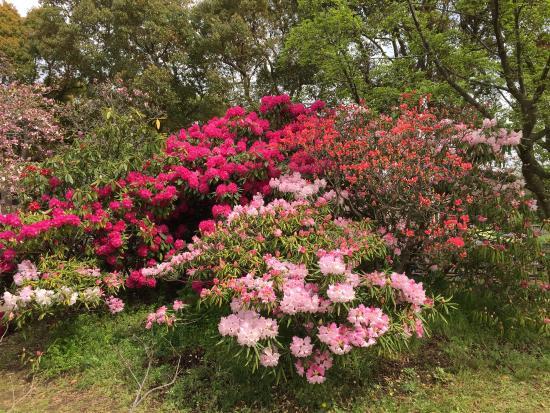 Hibiya Kadan Ofuna Flower Center