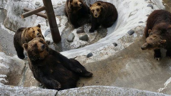 Noboribetsu Bear Park