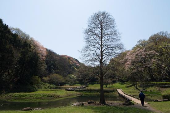 Shinbayashi Park