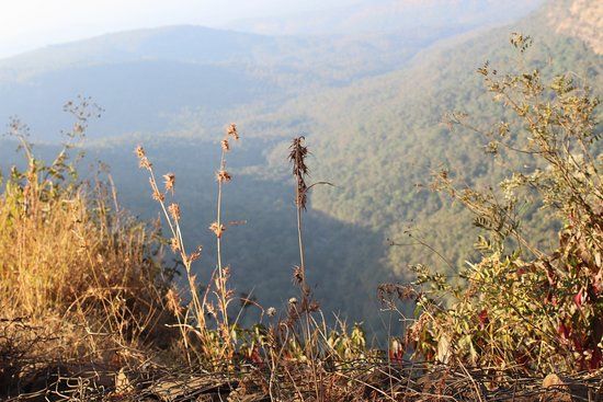 Chilkahrada Wild Life Sanctuary