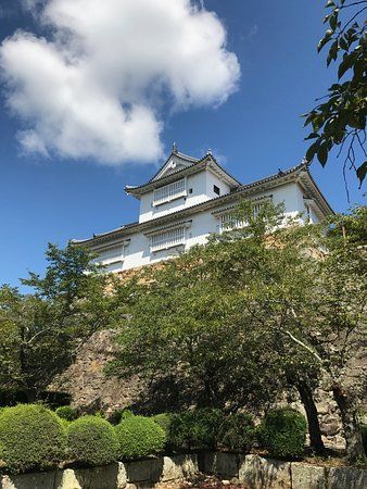 Tsuyama Castle