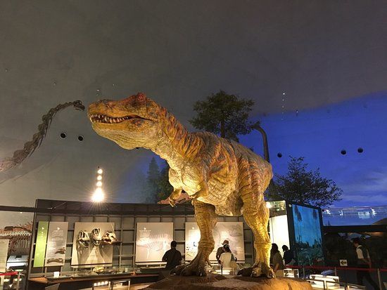 Fukui Prefectural Dinosaur Museum